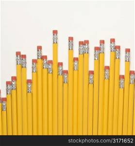 Uneven row of eraser ends of pencils.