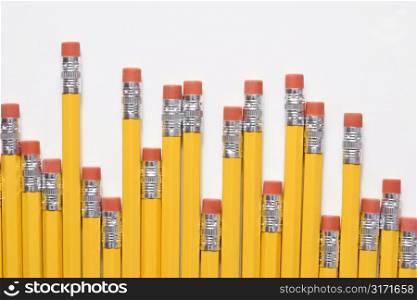 Uneven row of eraser ends of pencils.