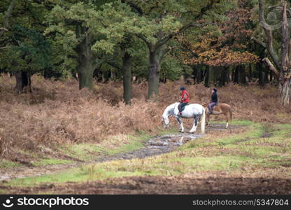 Unidentified horse riders in forest landscape during Autumn.