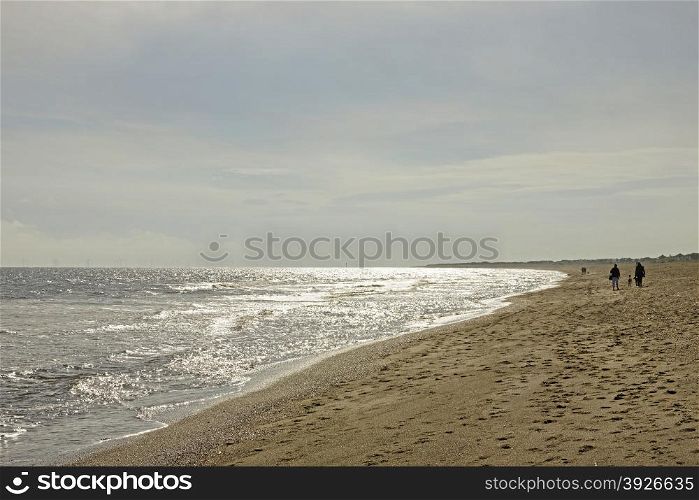 Unidentified people walking dogs on a beach in the UK