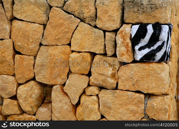 Unique, alone, one zebra texture painted stone