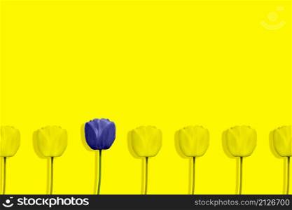 Unique purple tulip among many yellow tulips isolated on yellow background. Pop art design, creative summer concept. Standing out from crowd, individuality and difference concept. Copy space.. Unique purple tulip among many yellow tulips isolated on yellow background. Pop art design, creative summer concept. Standing out from crowd, individuality and difference concept. Copy space