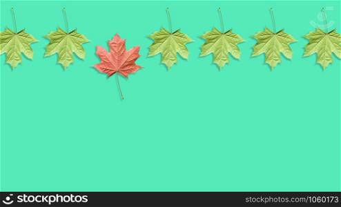 Unique red maple leaf among many green leaves isolated on blue or mint background. Pop art design, creative fall concept. Standing out from crowd, individuality and difference concept. Copy space. Unique red leaf among many green leaves isolated on blue or mint background.