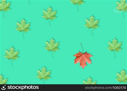 Unique red maple leaf among many green maple leaves pattern isolated on blue or mint background. Pop art design, creative fall concept. Standing out from crowd, individuality and difference concept.. Unique red leaf among many green leaves isolated on blue or mint background.