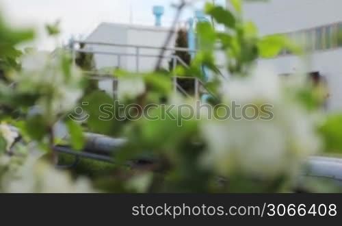 unit of compressor station with engine then slow focus on white and pink apple blossom, close-up