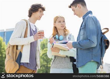 University students conversing at campus