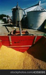 Unloading corn from wagon to dryer & silo on Henry Farm, OH