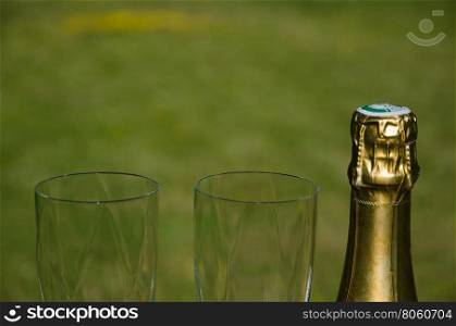 Unopened champagne bottle neck with two glasses with a soft green background
