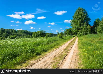 Unpaved sandy road among green grass in a Sunny summer day.