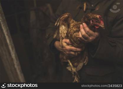 unrecognizable farmer with chicken