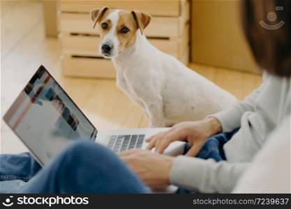 Unrecognizable man works on laptop comuter, keyboards and surfs internet webpage, sits on floor near carton boxes, searches new apartment to rent, lovely dog sits near, looks staightly at camera
