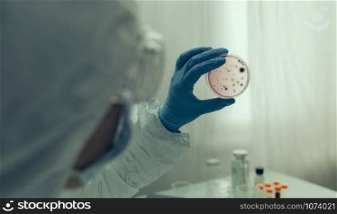 Unrecognizable scientist examining virus in petri dish in a laboratory. Scientist examining virus in petri dish in a laboratory