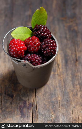 Unripe blackberry in small bucket on wooden table