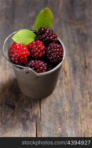 Unripe blackberry in small bucket on wooden table