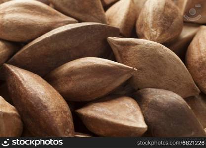 Unshelled pili nuts from the Philippines full frame close up