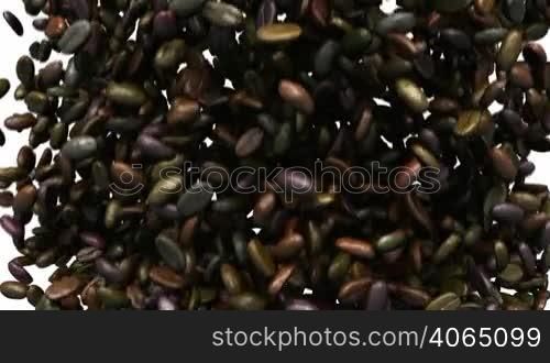 Unsorted Coffee beans mixing and tossing up with slow motion