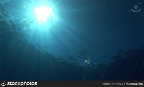 Unterwasser mit Blick zur Sonne