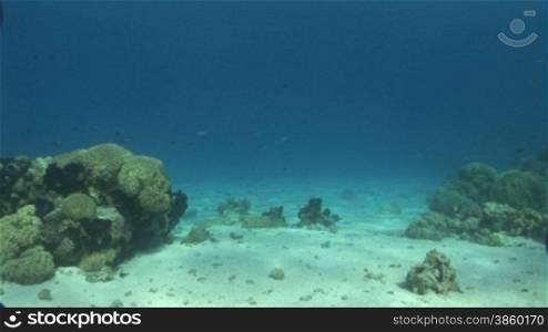 Unterwasseraufnahmen vom Meeresgrund