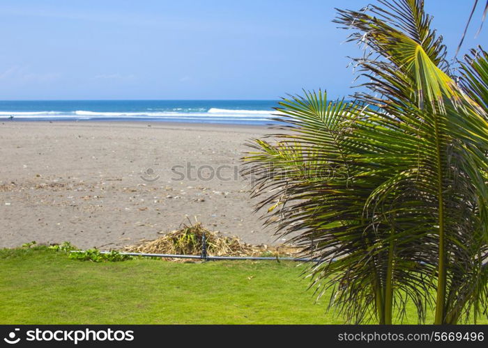 Untouched sandy beach with palms trees and azure ocean in background panorama