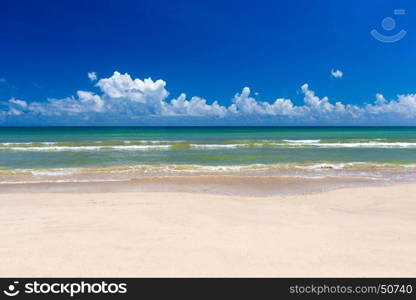 Untouched tropical beach in Sri Lanka