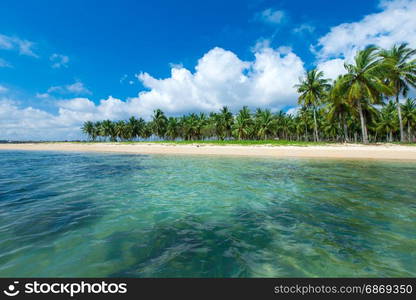 Untouched tropical beach in Sri Lanka