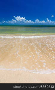 Untouched tropical beach in Sri Lanka