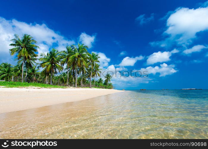 Untouched tropical beach in Sri Lanka