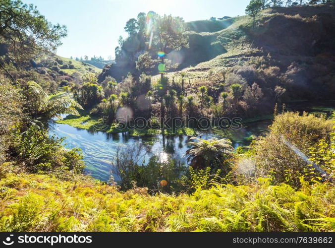 Unusual blue spring in New Zealand. Beautiful natural landscapes