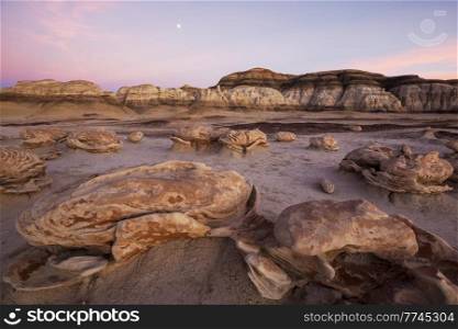 Unusual desert landscapes in Bisti badlands, De-na-zin wilderness area, New Mexico, USA