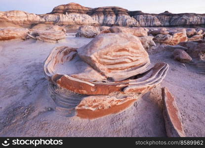 Unusual desert landscapes in Bisti badlands, De-na-zin wilderness area, New Mexico, USA