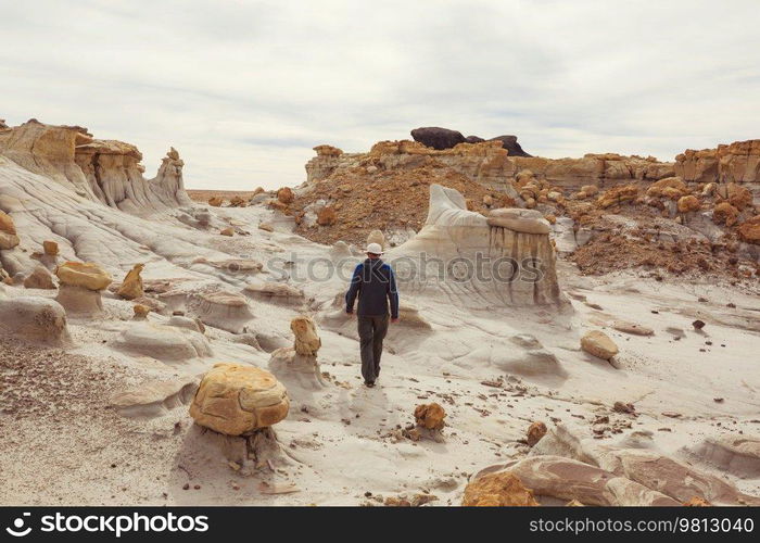 Unusual desert landscapes in Bisti badlands, De-na-zin wilderness area, New Mexico, USA