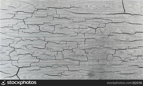 Unusual gray abstract background with beautiful craquelures