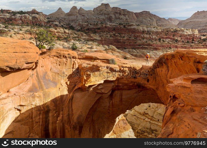 Unusual natural landscapes in Capitol Reef National Park, Utah