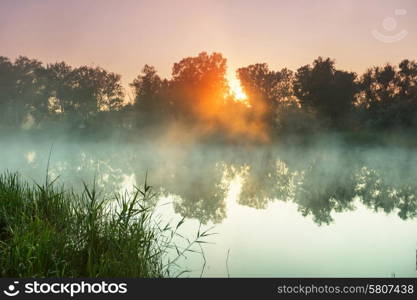 Unusual river fog in summer season