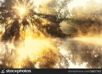 Unusual river fog in summer season