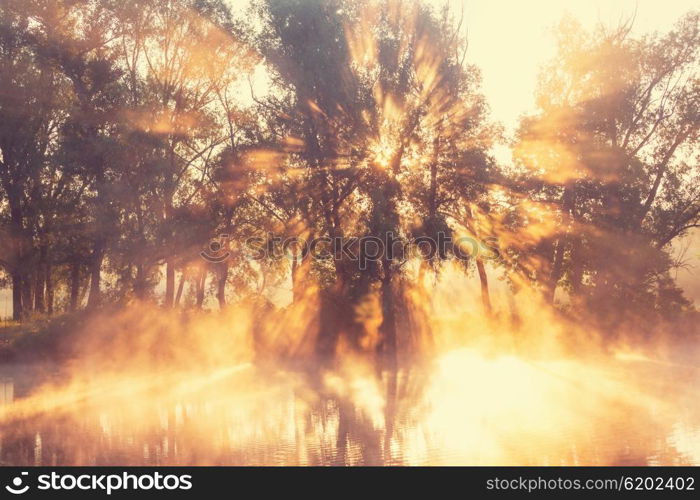 Unusual river fog in summer season