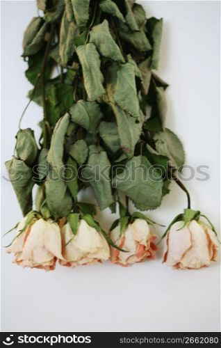upside down bouquet of flowers