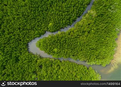 upstream mangrove forest aerial top view in the rain season