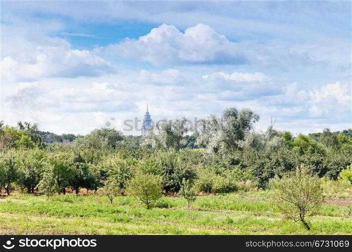 urban apple tree orchard in summer day