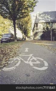 Urban cycle track, autumn with leaves on the floor
