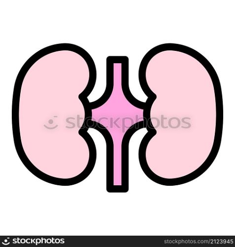 Urology kidney icon. Outline urology kidney vector icon color flat isolated. Urology kidney icon color outline vector