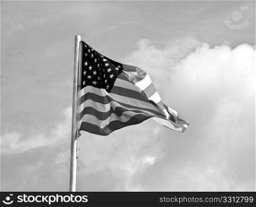 USA flag. Flag of the USA (United States of America)
