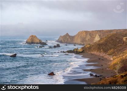 USA Pacific coast landscape, California, USA.