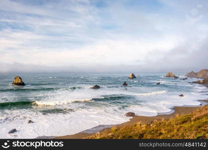 USA Pacific coast landscape, California, USA.