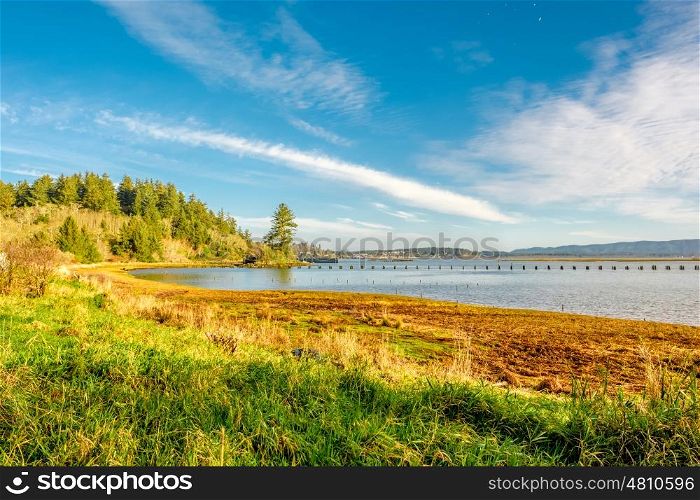 USA Pacific coast landscape, Cape Disappointment, Washington State