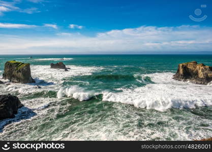 USA Pacific coast landscape, Oregon State