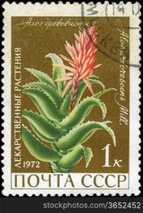 USSR - CIRCA 1972: A stamp printed in USSR show Aloe arborescens, series is devoted to medicinal plants, circa 1972