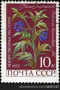 USSR - CIRCA 1972: A stamp printed in USSR show Solanum laciniatum, series is devoted to medicinal plants, circa 1972