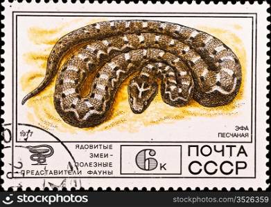 USSR - CIRCA 1977: postage stamp shows venomous snake, circa 1977