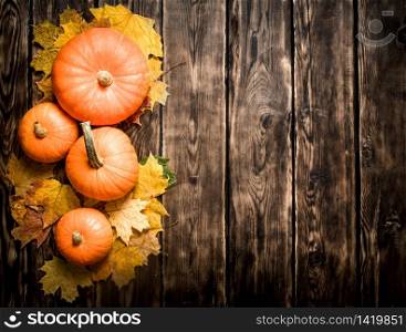 utumn harvest. Pumpkin with autumn leaves. On a wooden table.. utumn harvest. Pumpkin with autumn leaves.